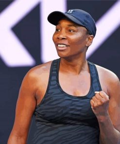 Venus Williams Tennis Player Paint By Number