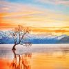 Wanaka Tree New Zealand At Sunset Paint By Number