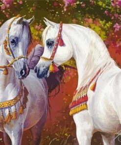 White Arabian Horses Paint By Number