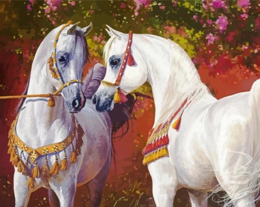 White Arabian Horses Paint By Number