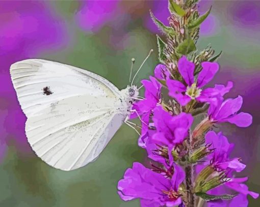 White Butterfly On Purple Flowers Paint By Number