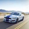 White Ford Mustang Car On Road Paint By Number