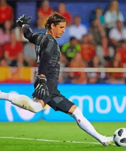 Yann Sommer Soccer Player Paint By Number