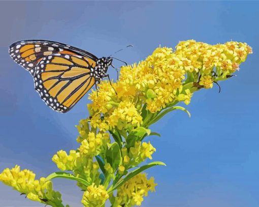 Yellow Monarch Paint By Number