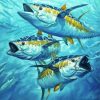 Yellowfin Tuna Fishes Paint By Number