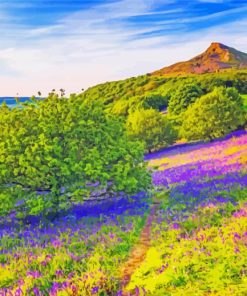 Yorkshire Moorland Field Paint By Number