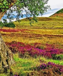 Yorkshire Moorland Paint By Number