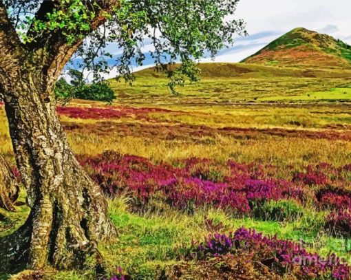 Yorkshire Moorland Paint By Number