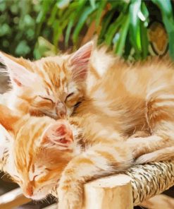 Adorable Kittens Sleeping Paint By Number