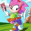 Aesthetic Amy Rose Paint By Number