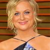 Aesthetic Amy Poehler Paint By Number