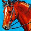 Aesthetic Bay Horse Paint By Number