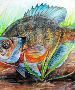 Aesthetic Blue Gill Fish Paint By Number