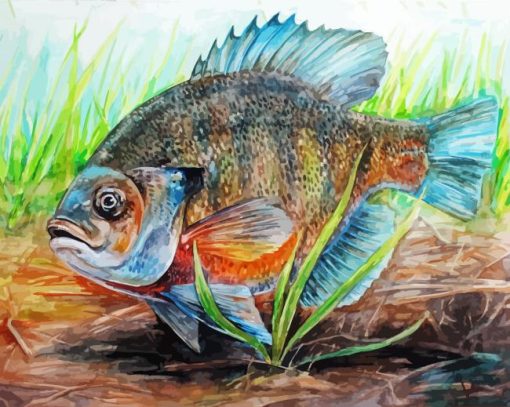 Aesthetic Blue Gill Fish Paint By Number