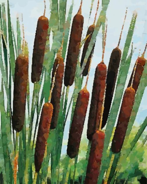 Aesthetic Cattails Paint By Number