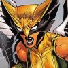 Aesthetic Hawkgirl Paint By Number