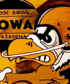 Aesthetic Iowa Hawkeye Paint By Number