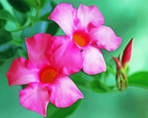 Aesthetic Mandevilla Paint By Number