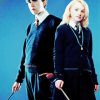 Aesthetic Neville And Luna Characters Paint By Number