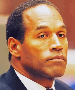 Aesthetic OJ Simpson Paint By Number