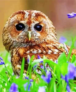 Aesthetic Owl With Flowers Paint By Number