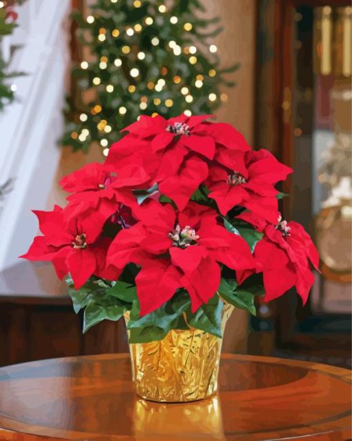 Aesthetic Poinsettia Paint By Number