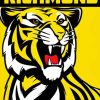 Aesthetic Richmond Tigers Paint By Number