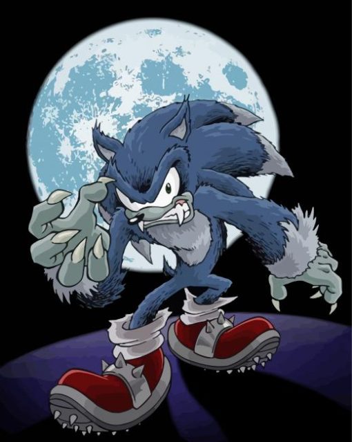 Aesthetic Sonic Werewolf Art Paint By Number