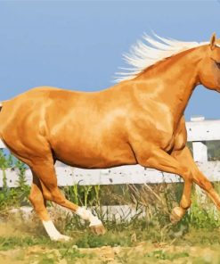 Aesthetic Tan Horse Paint By Number