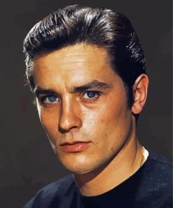 Aesthetic Alain Delon Paint By Number