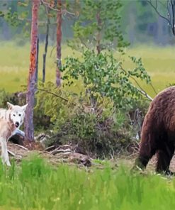 Aesthetic Bear And Wolf Friendship Paint By Number