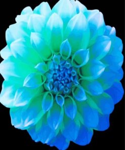 Beautiful Blue And Green Flower Paint By Number