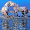 Beautiful Horses In River Paint By Number