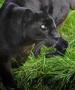 Big Black Cat In Grass Paint By Number