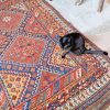 Black Cat With Oriental Rug Paint By Number