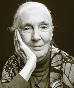 Black And White Jane Goodall Paint By Number