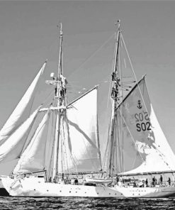 Black And White Schooner Paint By Number