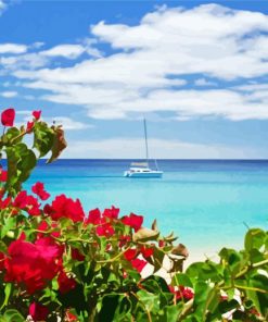 Bougainvillea And Beach View Paint By Number