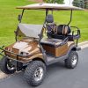 Brown Golf Car Paint By Number