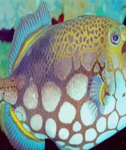 Clown Triggerfish Paint By Number