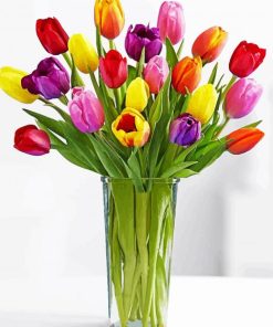 Colorful Tulip In Vase Paint By Number