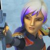 Cool Sabine Wren Paint By Number