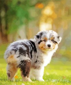 Cute Aussie Dog Paint By Number