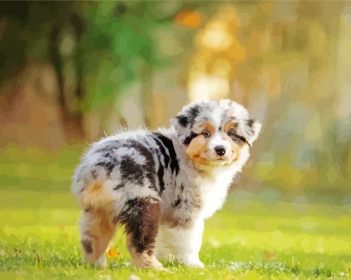 Cute Aussie Dog Paint By Number