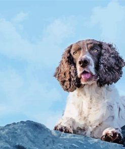 Cute Working Cocker Spaniel Paint By Number