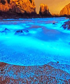 Glowing Algae Beach Paint By Number