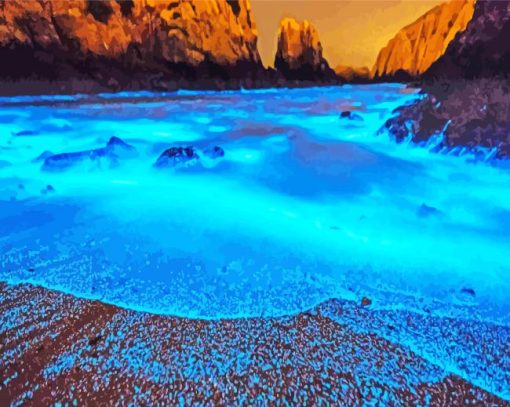 Glowing Algae Beach Paint By Number