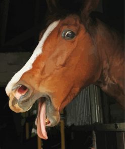 Horse With Silly Face Paint By Number