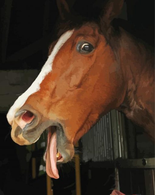 Horse With Silly Face Paint By Number