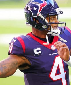 Houston Texans Team Paint By Number